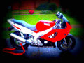 Yamaha YZF 600 R Thundercat 1996 2 motorbike A4 Photo Print