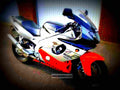 Yamaha YZF 600 R Thundercat 1998 1 motorbike A4 Photo Print