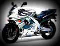 Yamaha YZF 600 R Thundercat 2001 6 motorbike A4 Photo Print