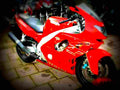 Yamaha YZF 600 R Thundercat 2002 3 motorbike A4 Photo Print