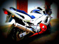 Yamaha YZF 600 R Thundercat 2002 4 motorbike A4 Photo Print