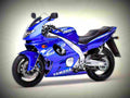 Yamaha YZF 600 R Thundercat 2003 1 motorbike A4 Photo Print
