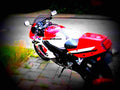 Yamaha YZF 750 R 1994 2 motorbike A4 Photo Print