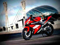 Yamaha YZF R125 125 5 motorbike A4 Photo Print