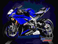 Yamaha YZF R6 Racing 2017 2 motorbike A4 Photo Print