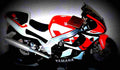 Yamaha YZF R7 2002 4 motorbike A4 Photo Print