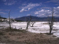 Yellowstone Hot Springs A4 Photo Print x