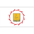 Yerevan City Flag N6022 A4 Photo Print