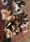 Yi Kwei Tsou 1686 1766 From a scroll of a hundred Pekingese dogs Dogs of China & Japan in Nature & Art 1921 CROPPED A4 Photo Print