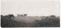 Yorkshire Vintage056 A4 Photo Print
