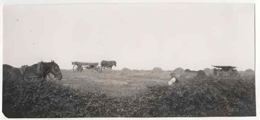 Yorkshire Vintage056 A4 Photo Print