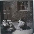 Yorkshire Vintage093 A4 Photo Print