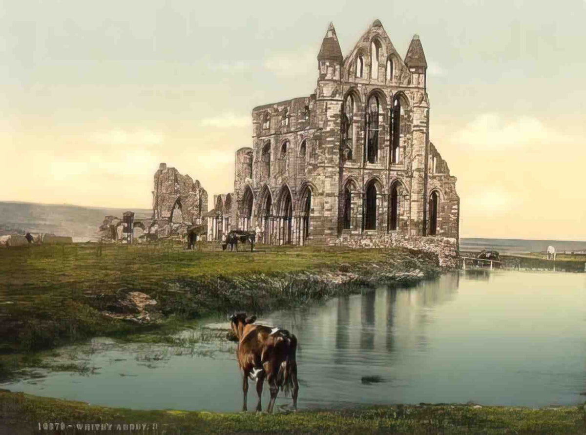 Yorkshire Whitby Abbey II 1900's Vintage A4 Photo Print