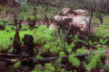 Yosemite Meadow Rocks A4 Photo Print