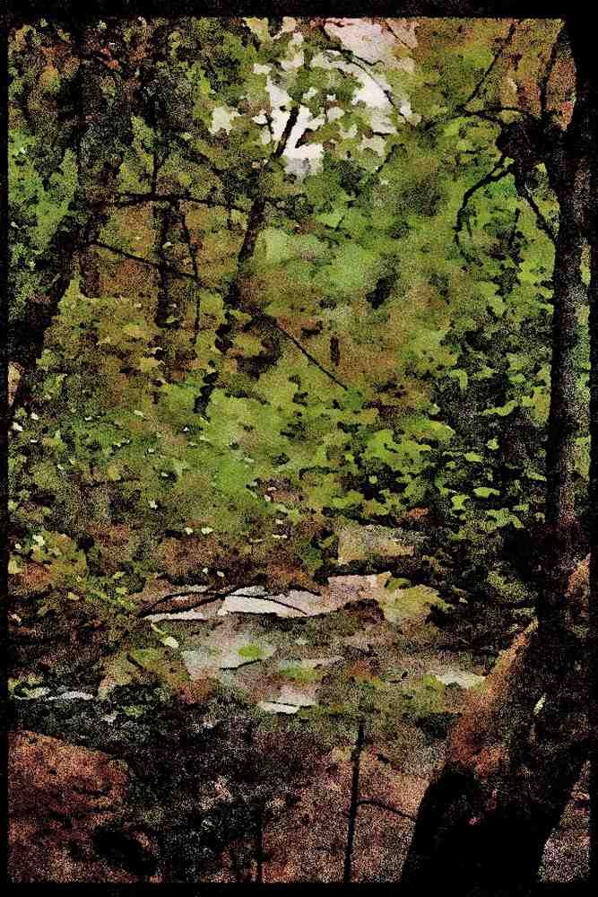 Yosemite USA 167023 Tenaya Creek In Spring A4 Limited Edition Watercolour Print