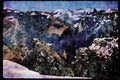 Yosemite USA 167045 View From Dewey Point In Winter A4 Limited Edition Watercolour Print