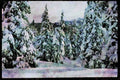 Yosemite USA 167054 Badger Pass In Winter A4 Limited Edition Watercolour Print