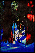 Yosemite USA 167066 Sequoia Trees In Winter A4 Limited Edition Watercolour Print