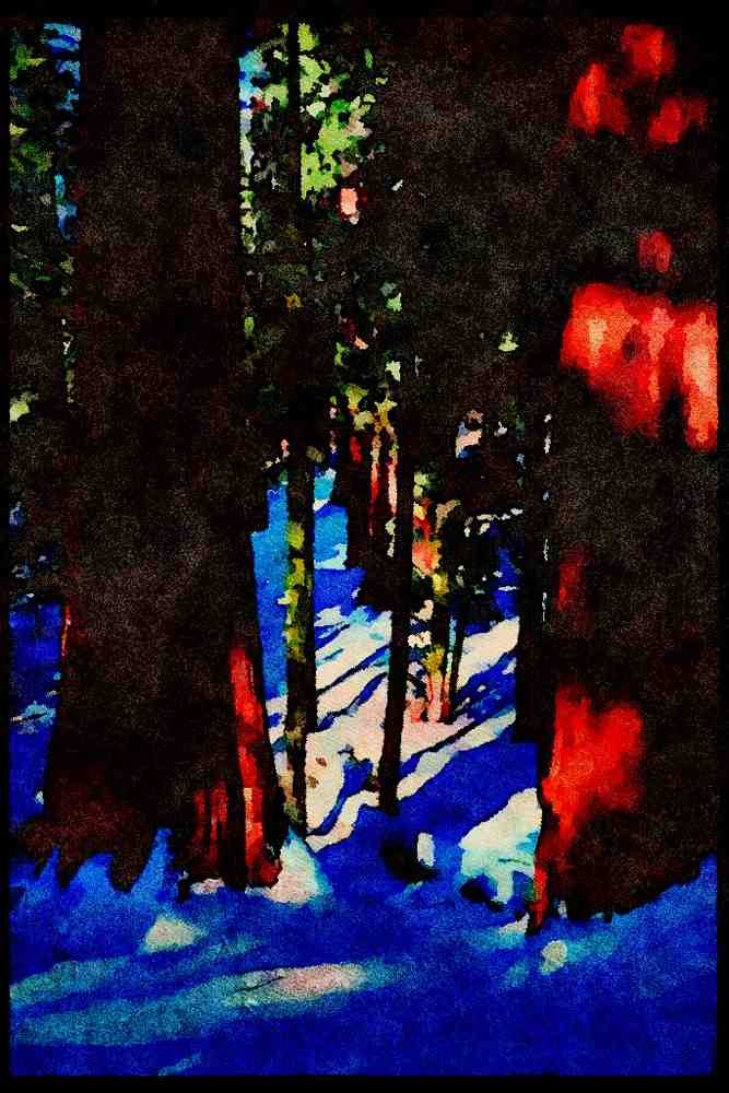 Yosemite USA 167066 Sequoia Trees In Winter A4 Limited Edition Watercolour Print