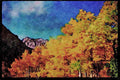 Yosemite USA 167099 Lundy Canyon A4 Limited Edition Watercolour Print