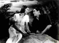 Young Loretta Second Honeymoon 1 film star poster A4 Photo Print