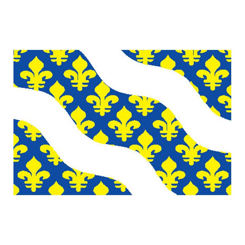 Yvelines Dep Flag N2995 A4 Photo Print