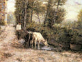 Zampighi Eugenio Cows Watering At Quiet Pool A4 Photo Print