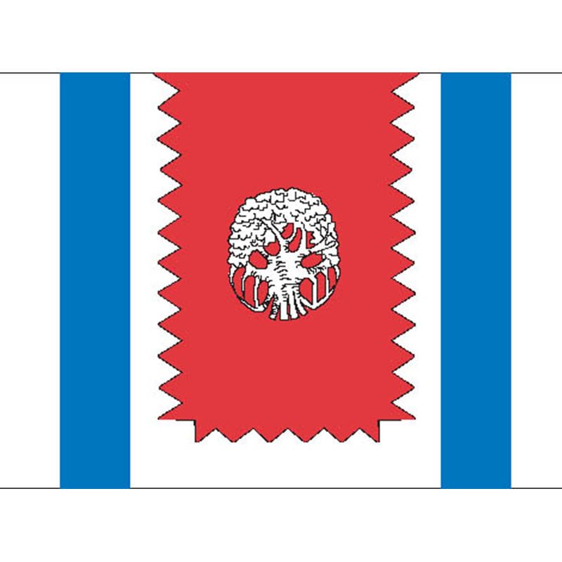 Zapdegunino Mos Flag N2713 A4 Photo Print
