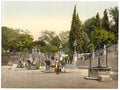 Zara Icinque Wells Dalmatia Vintage A4 Photo Print