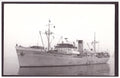 Zaton 1946 Yugoslavia Steam ship A4 Photo Print