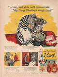 Zebras Whiskey Blending Vintage Retro Advert Ads A4 Photo Print