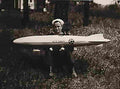 Zeppelin Airship 803 A4 Photo Print
