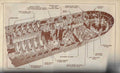 Zeppelin2 cutaway A4 Photo Print