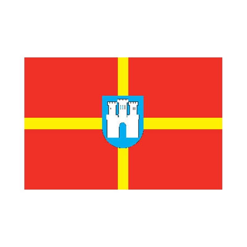 Zhitomir Obl Flag N4761 A4 Photo Print