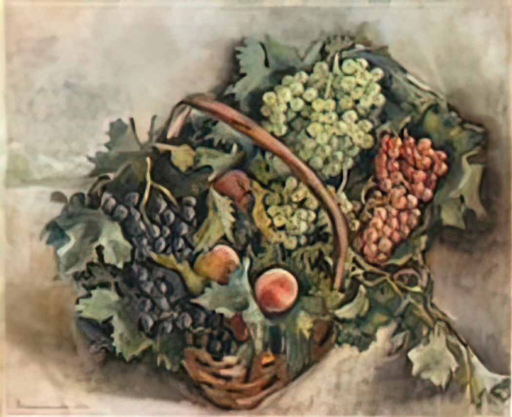 Zinaida Serebriakova basket with grapes and peaches 1931 Art A4 Photo Print