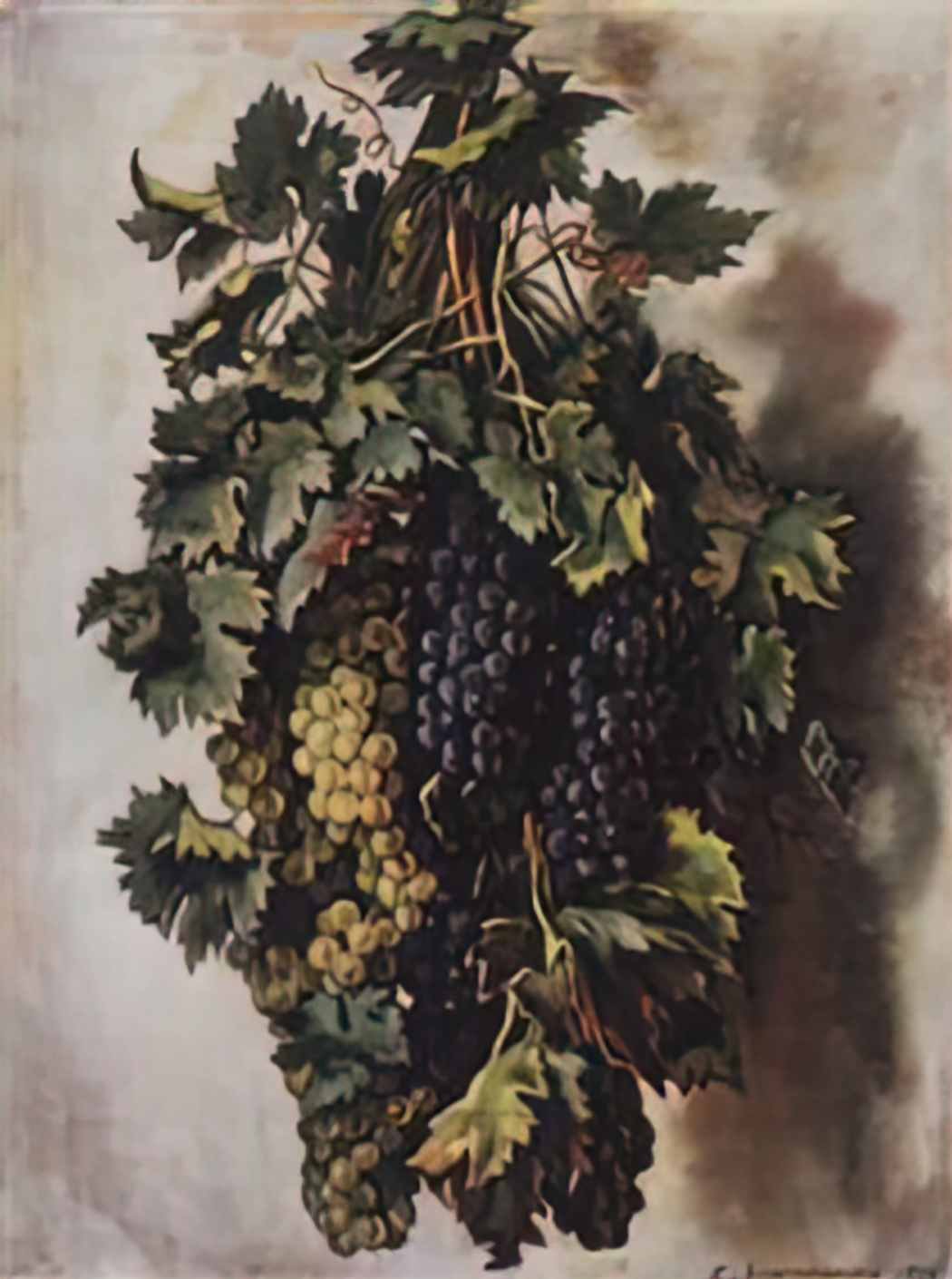 Zinaida Serebriakova grapes 1936 Art A4 Photo Print