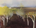 Zinaida Serebriakova orchard 1908 Art A4 Photo Print