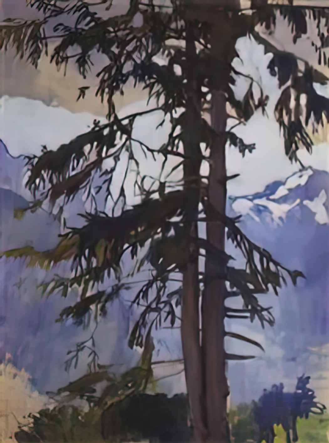Zinaida Serebriakova spruce 1914 Art A4 Photo Print