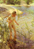 Zorn Anders Reflexer A4 Photo Print