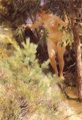 Zorn Nude Under A Fir A4 Photo Print