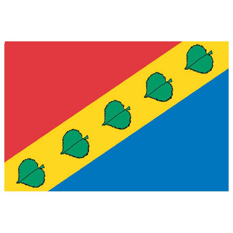 Zyuzino Mos Flag N2559 A4 Photo Print