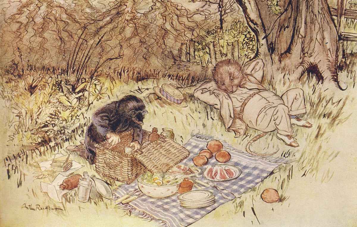 a Wind in the Willows Arthur Rackham The Mole begged as a favour to be allowed to unpack it all by himself A4 Photo Print