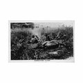 a buffalo centrafrique un buffle ed inconnu Vintage A4 Photo Print