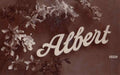 a name called albert with flowers greetings old 93788 A4 Photo Print