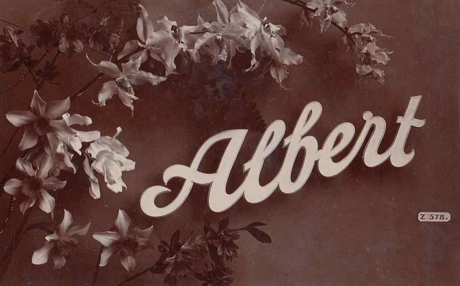 a name called albert with flowers greetings old 93788 A4 Photo Print