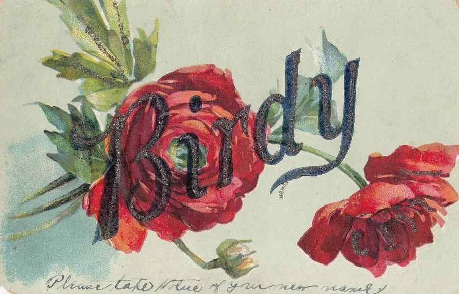 a name called birdy with flowers greetings old 93780 A4 Photo Print