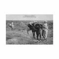 a travers le maroc cadavre de marocains ramene au camp ed p schmitt Vintage A4 Photo Print
