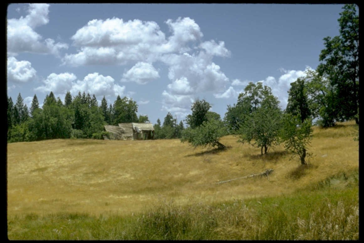 abandoned barn oregon1980s 1990s A4 Photo Print