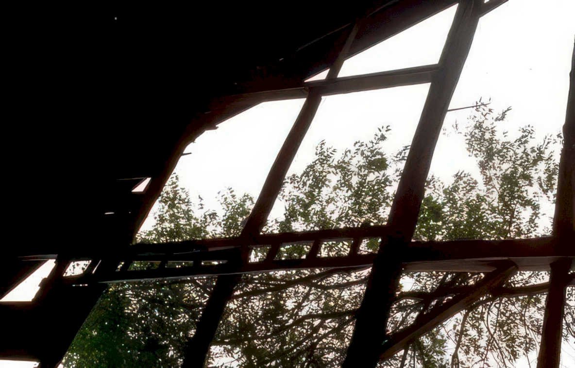 abandoned greenhouse frame Vintage A4 Photo Print