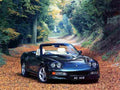 ac ace 1993 7215 6 Car A4 Photo Print